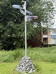 IMG_7981