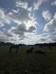IMG_7977