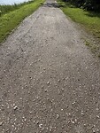 IMG_7973