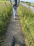 IMG_7970