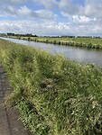 IMG_7969