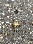 IMG_7963