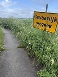 IMG_7961