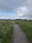 IMG_7958