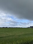 IMG_7955