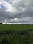 IMG_7954