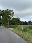 IMG_7953