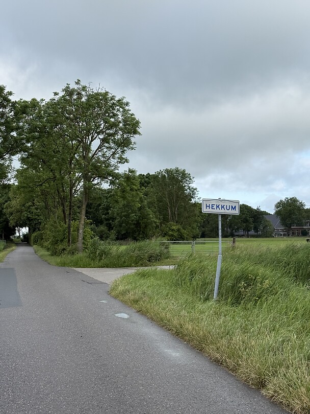 IMG_7953