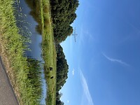 IMG_9320 2