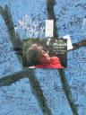 Tribute wall Michael Jackson - Apollo Theather