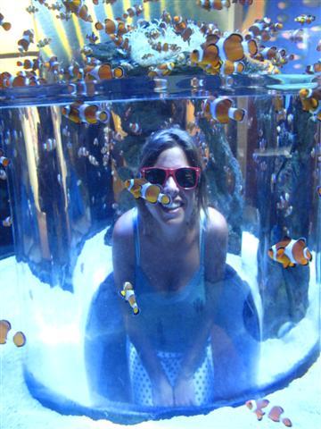 Nieuwjaarsdag... Finding Nemo