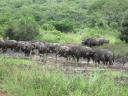HluHlue National Park!