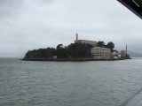 IMG_1428