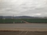 IMG_1510