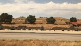 IMG_1522