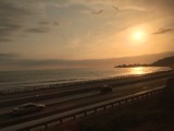IMG_1585