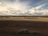 IMG_1694