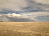 IMG_1724