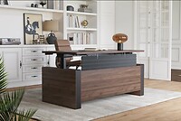 executive standing desk