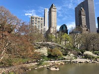 Central Park 2