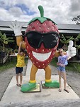 Aardbeien
