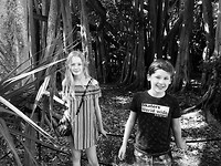 Banyantree