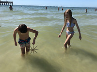 Jesse met zeester