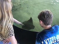 Lisanne en Jesse aaien een stingray