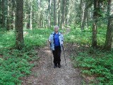 Wandelen in het bos