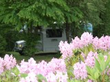mooie omgeving om camper