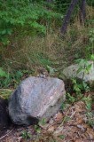 Een kleine eekhoorn