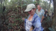 Maroaga jungle