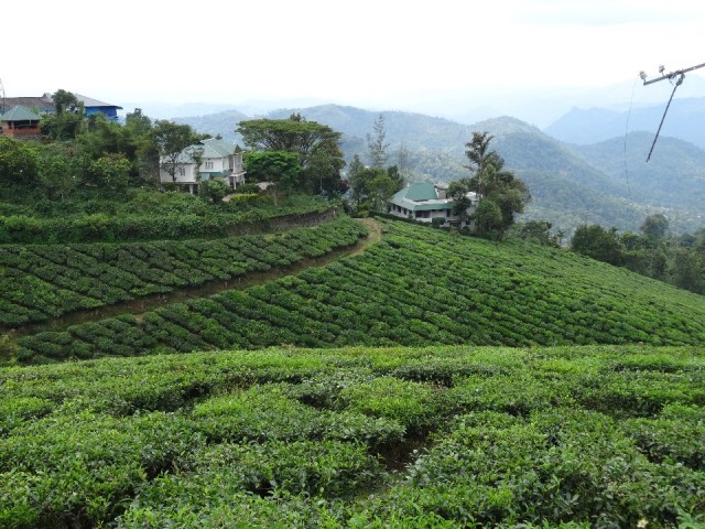 kerala