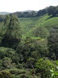kerala