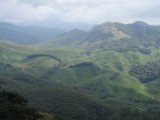 kerala
