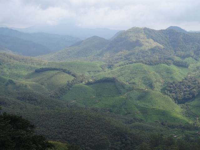 kerala