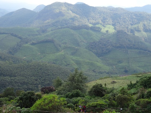 kerala