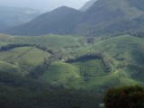 kerala