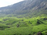 DSC00680