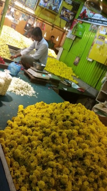 pondicherry