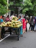 pondicherry