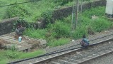 Chennai