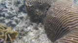 G0890986