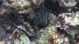 G0900988