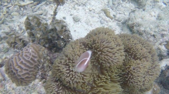G0921001