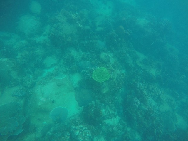 GOPR0931