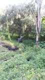 20151119_165210