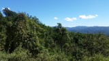 20151122_120723