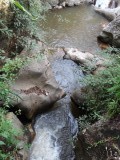 DSC01202
