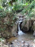DSC01203